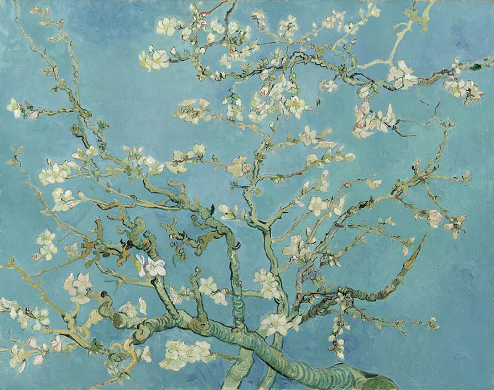 Amandelbloesem, Vincent van Gogh, Saint Rémy de Provence, 1890, collectie Van Gogh Museum, Amstedam 