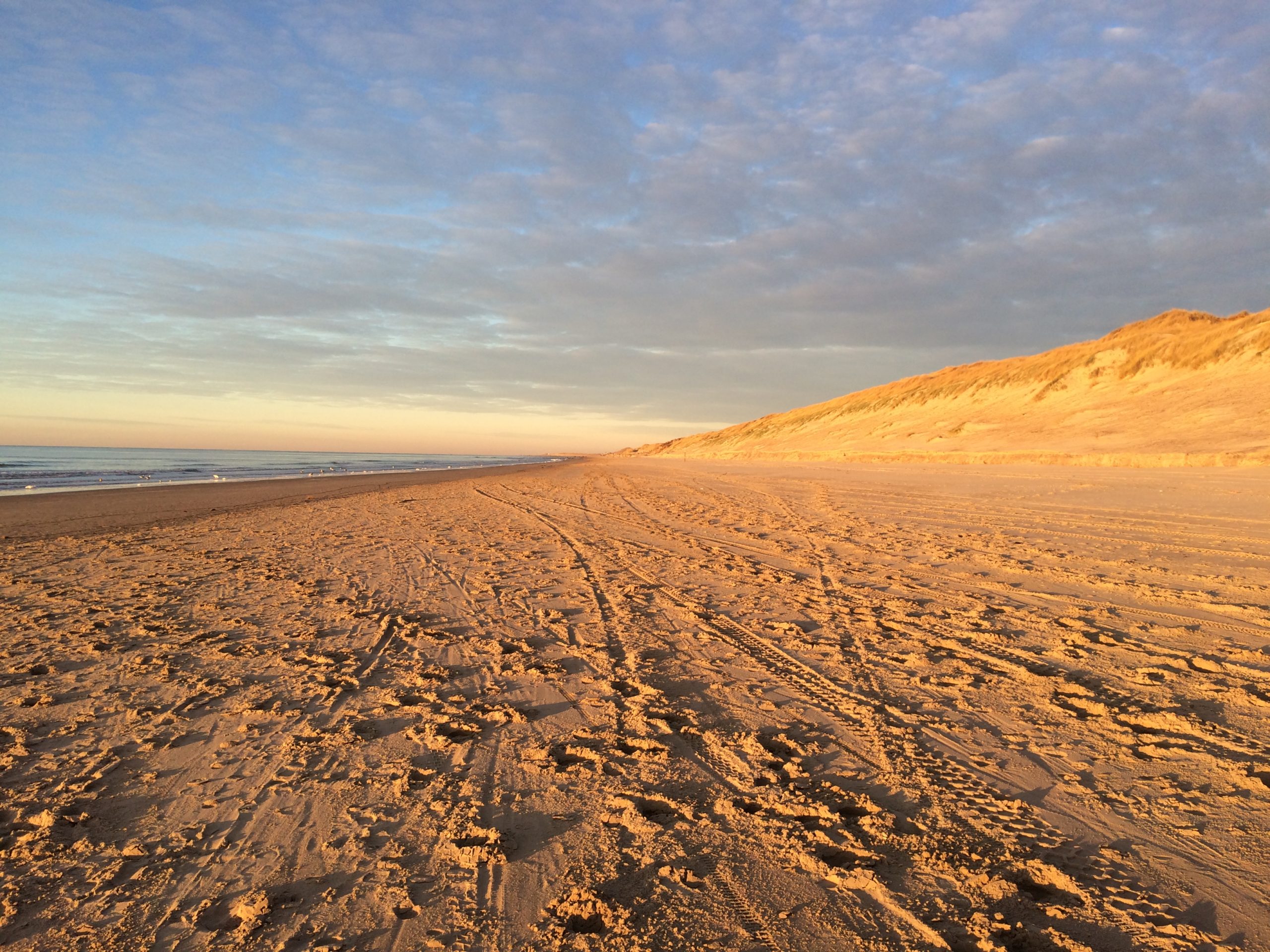 Sea-dunes-nature-struggle-winning