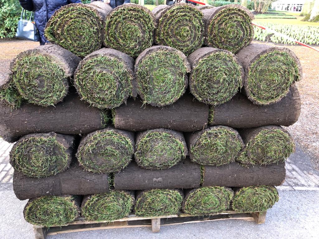 A pallet of sod, most football pitches in Europe have a Dutch lawn.